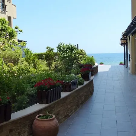 Oasis * Sunny Beach