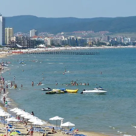 Oasis סאני ביץ'