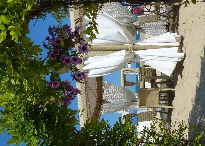 Oasis Σάνι Μπιτς