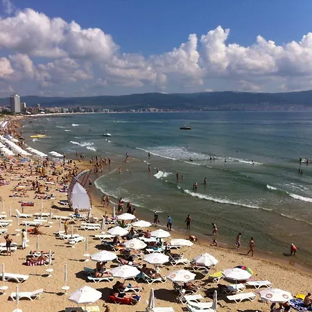 Oasis * Słoneczny Brzeg